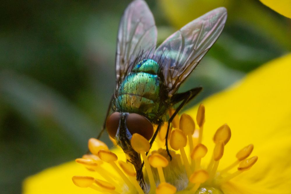 Фотография автора Ruslan Badykov