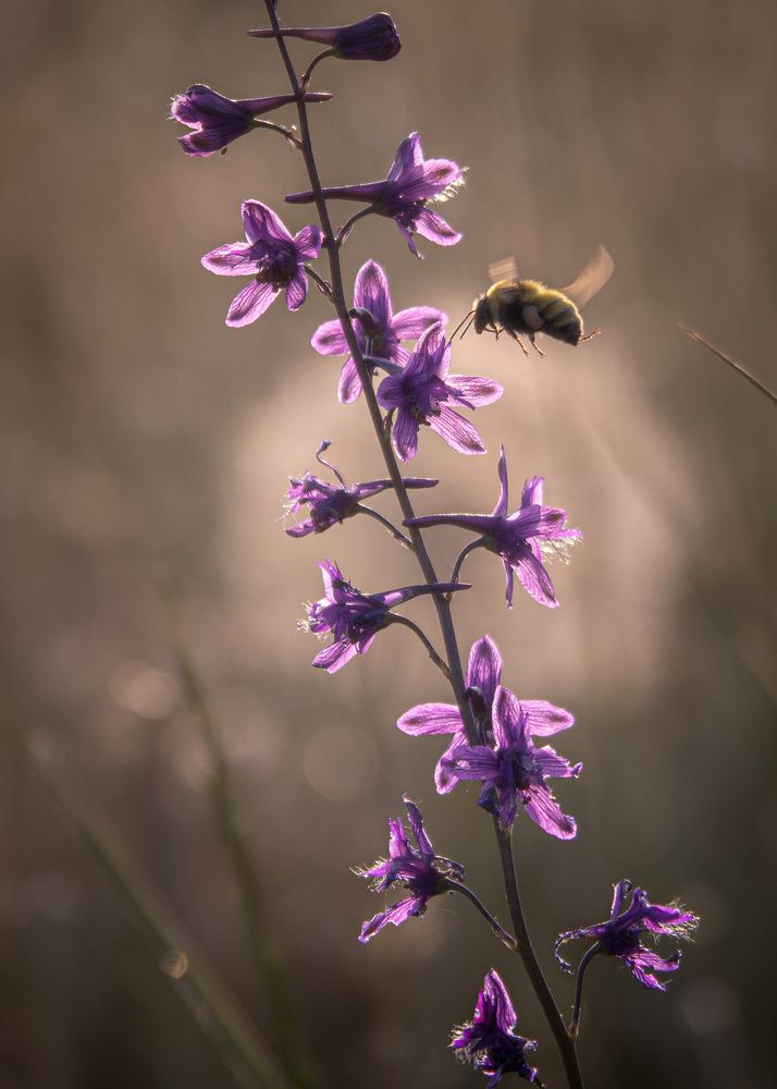 Photograph by Сергей Богданов
