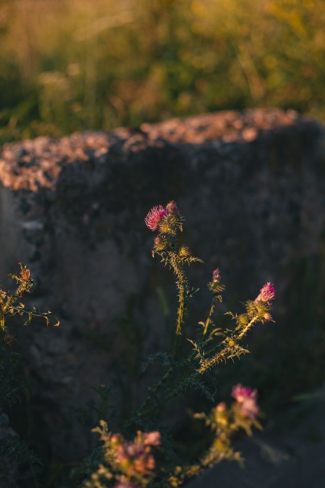 Фотография автора Валентина Комлева