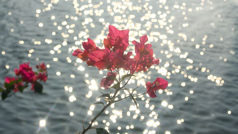 Фотография автора Nam Phạm