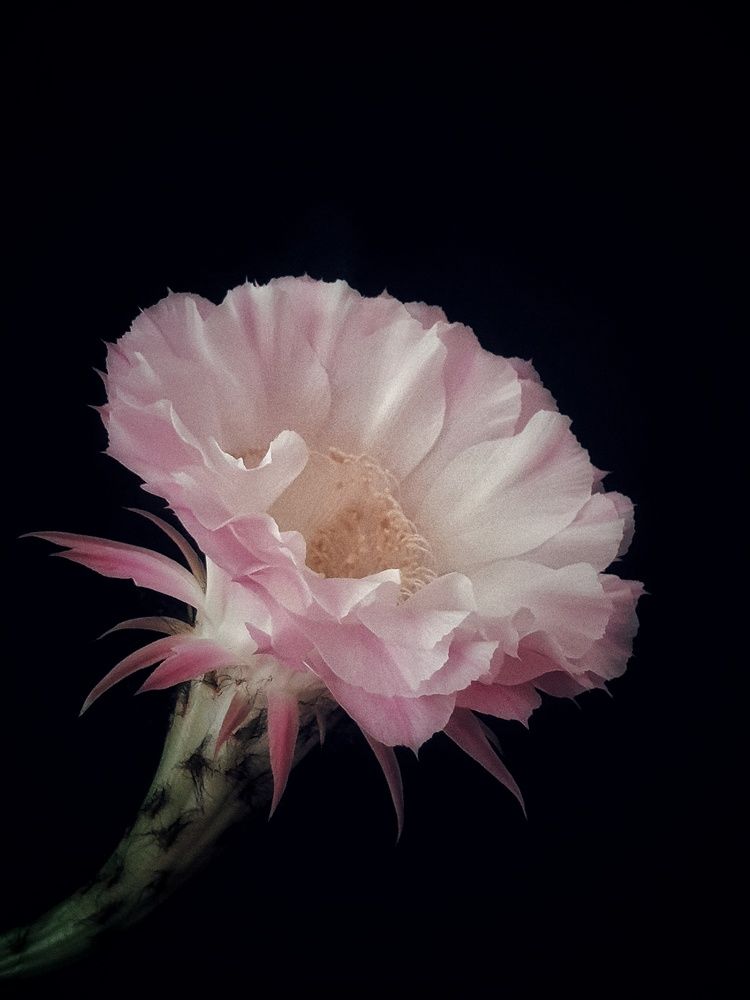 Photograph by Нина Москалёва