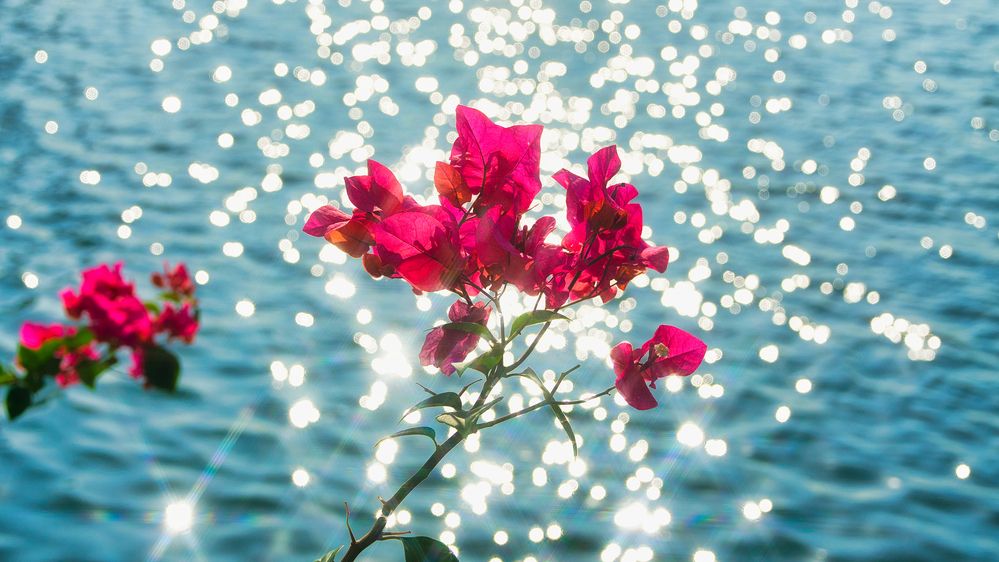 Фотография автора Nam Phạm