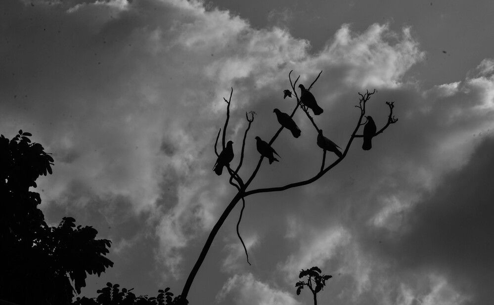 Photograph by Cahya Nugraha