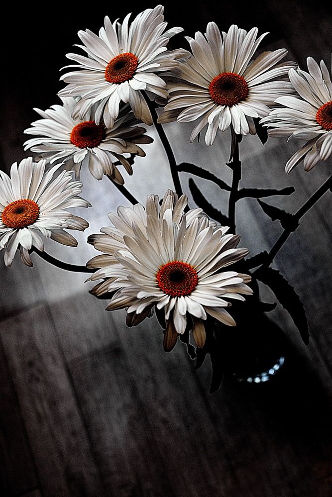 Photograph by Вадим Гераскин