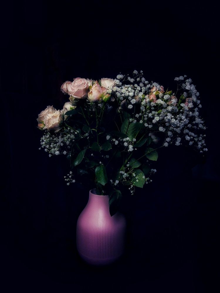 Photograph by Александра Кропивка