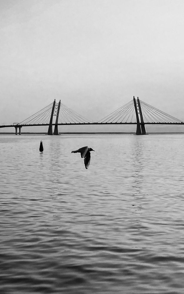 Photograph by Александра Стригунова