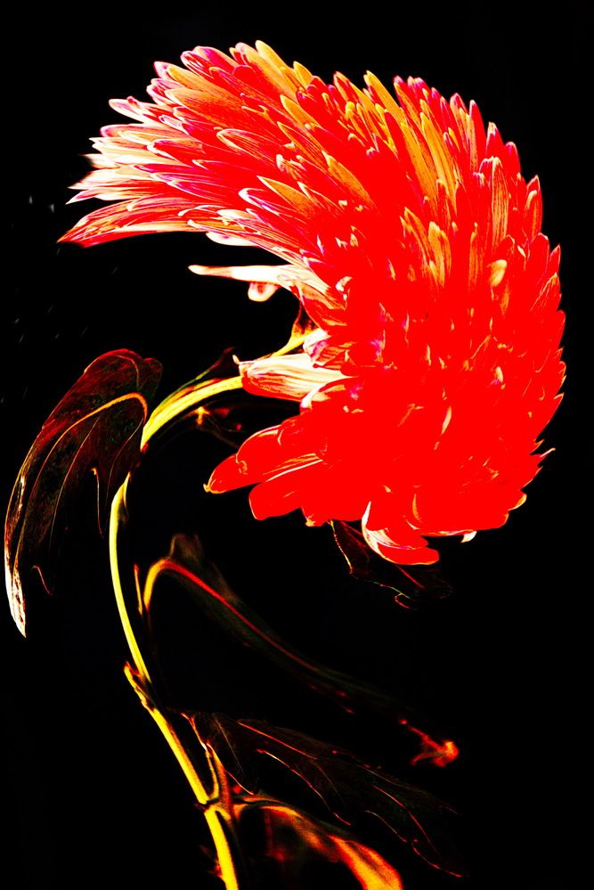 Photograph by Вадим Гераскин