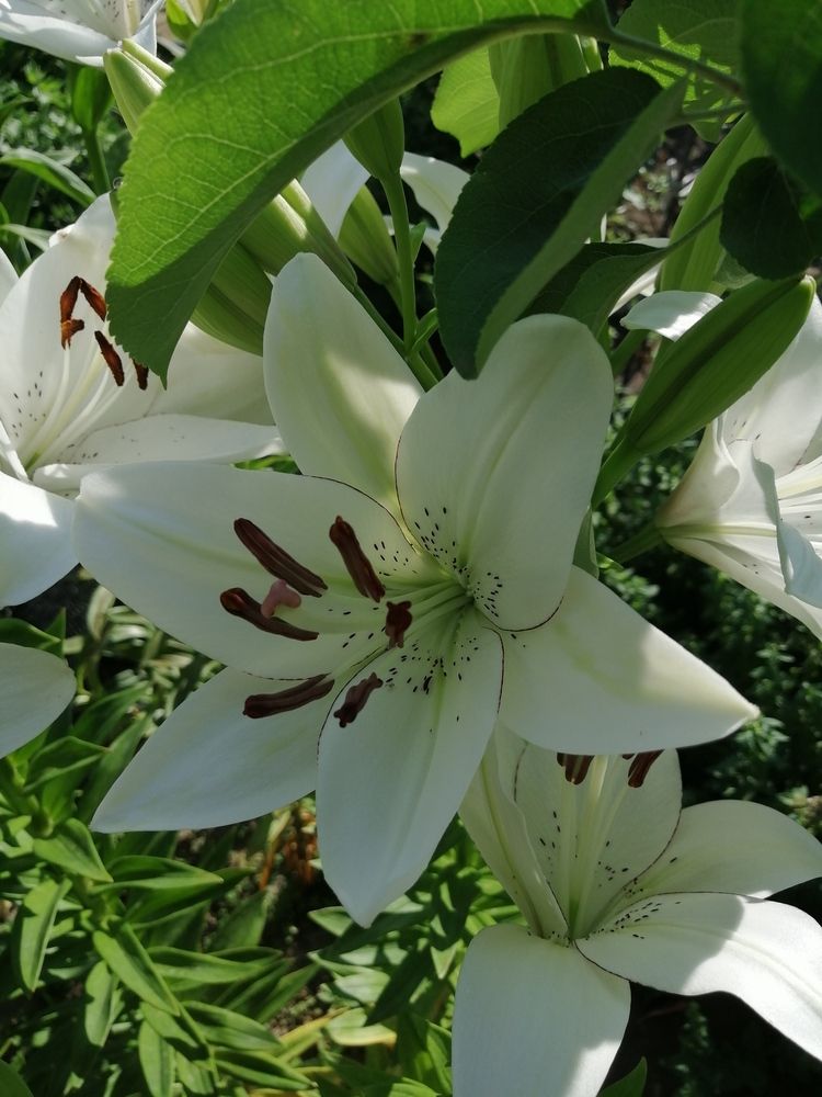 Photograph by Вячеслав Огурцов