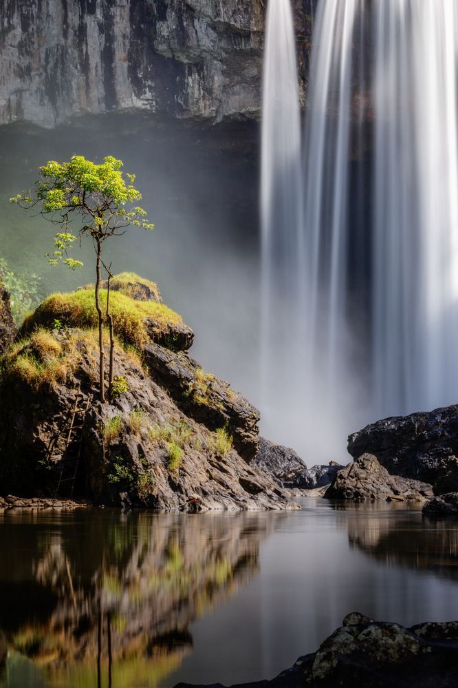 Photograph by Anh Chiem Nguyen