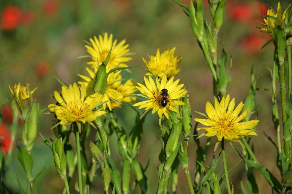 Photograph by Андрей Звездов