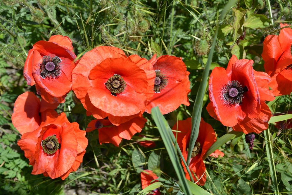 Photograph by Андрей Звездов