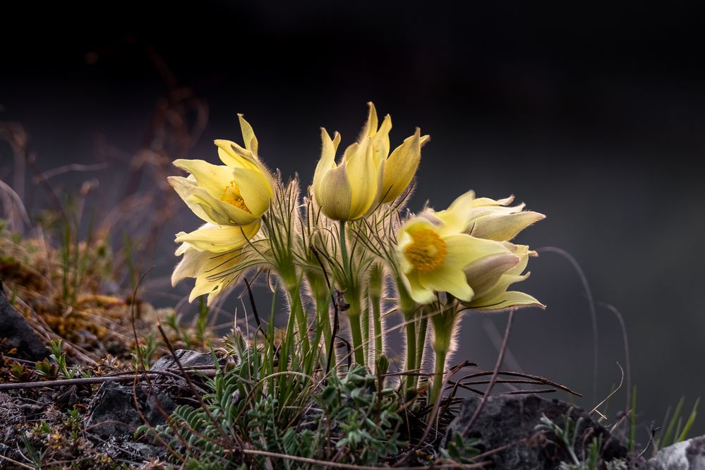 Photograph by Сергей Третьяков