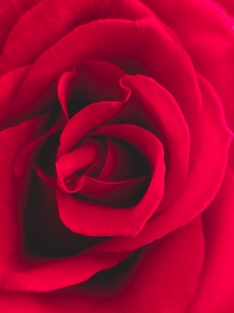 Photograph by Asmaa ELTouny