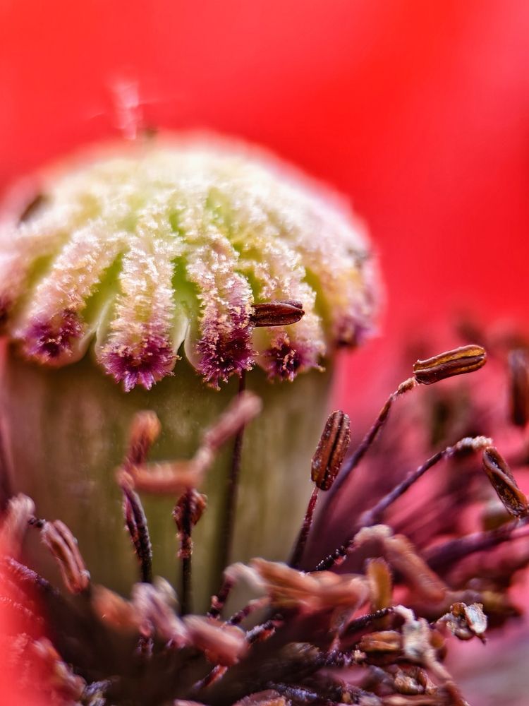 Фотография автора Евгений Былков