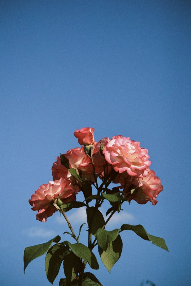 Photograph by Марина Егорова