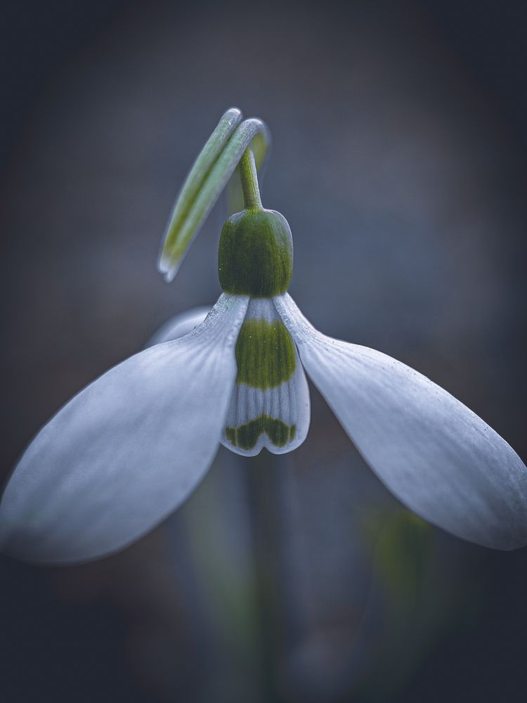 Фотография автора Евгений Былков