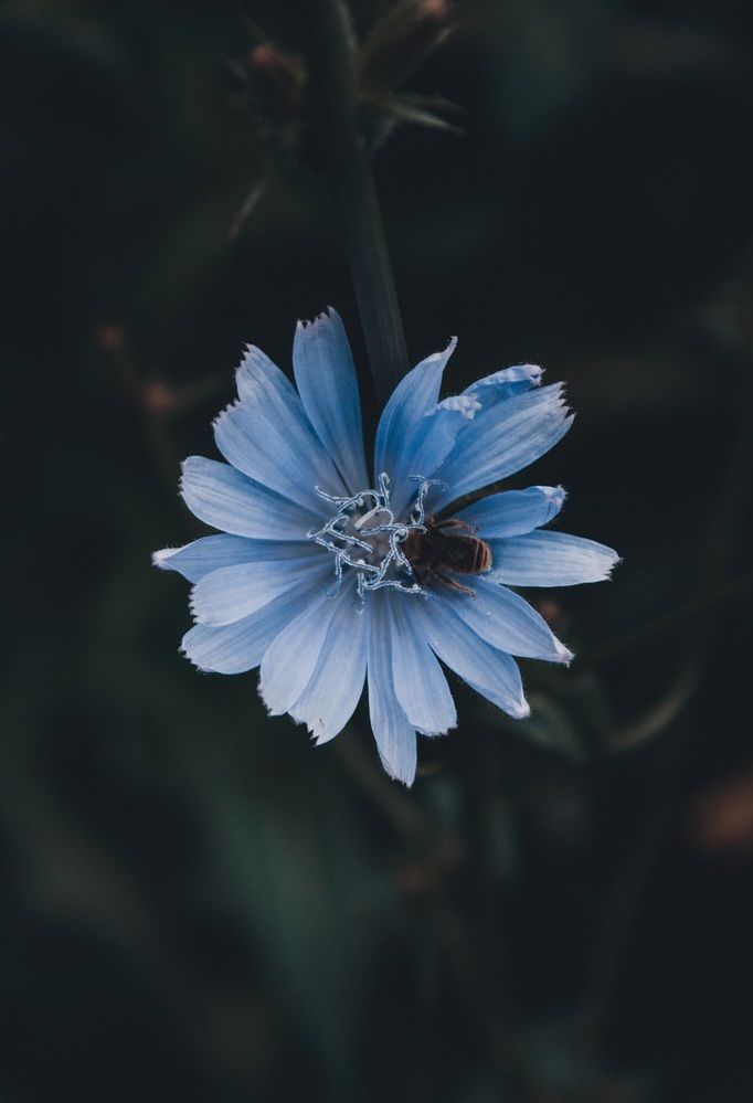 Photograph by Алексей Дукин