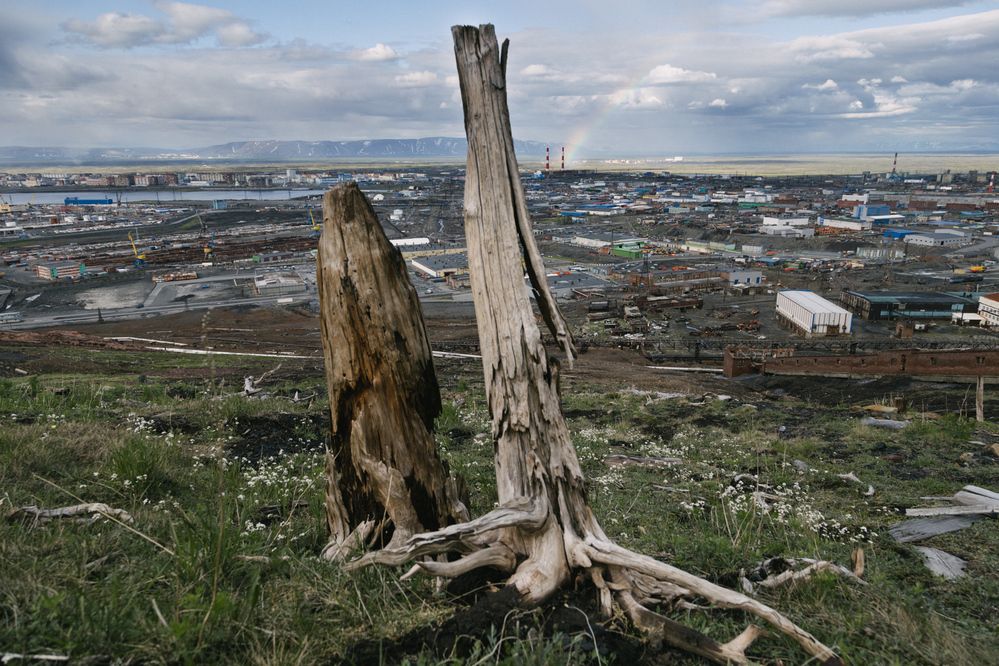 Photograph by Денис