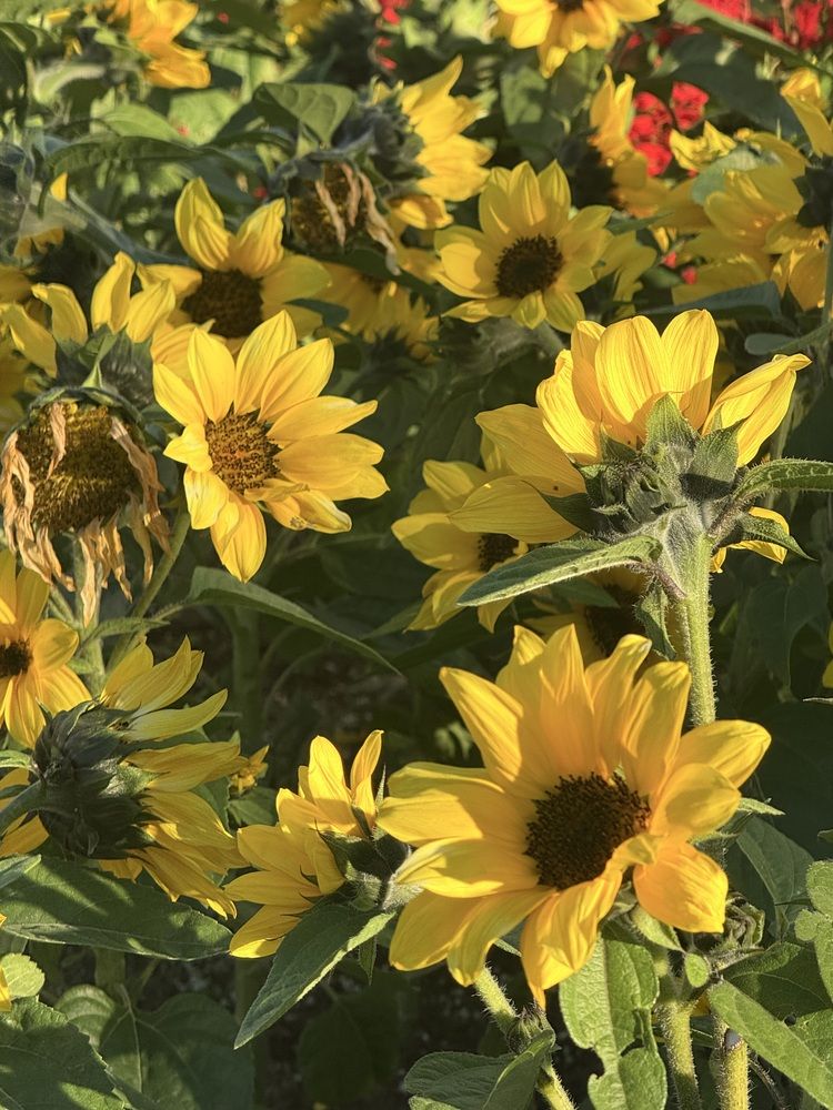 Photograph by Konstantin Kalmykov