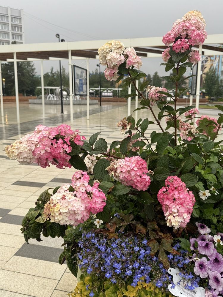 Photograph by Konstantin Kalmykov