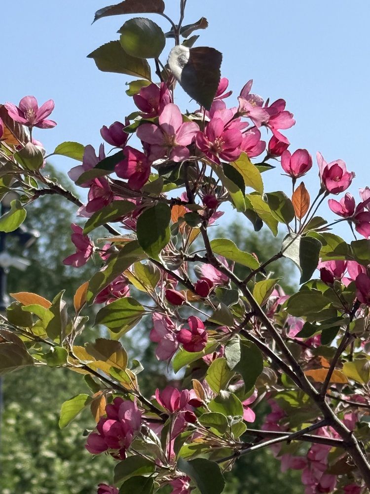 Photograph by Konstantin Kalmykov