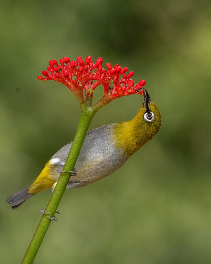 Photograph by Prabhat Ghosh