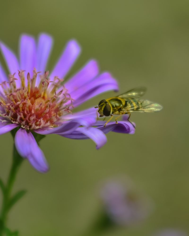 Photograph by Евгения Россоловская