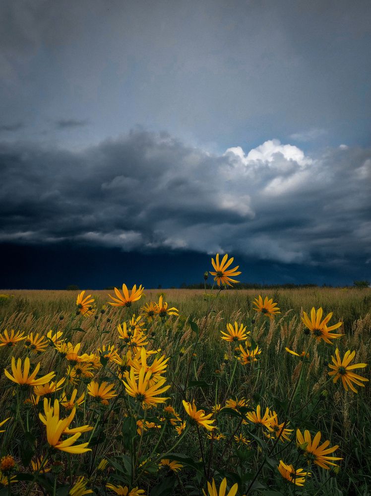 Photograph by Евгения Россоловская