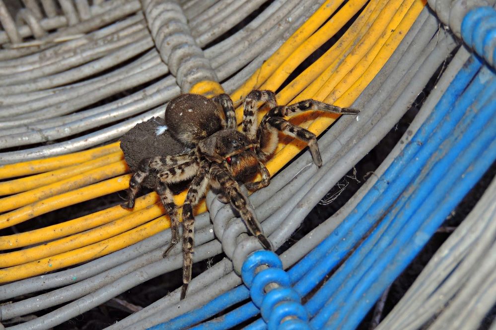 Photograph by Мария Широких