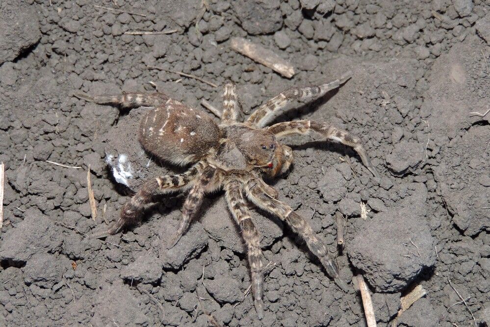 Photograph by Мария Широких