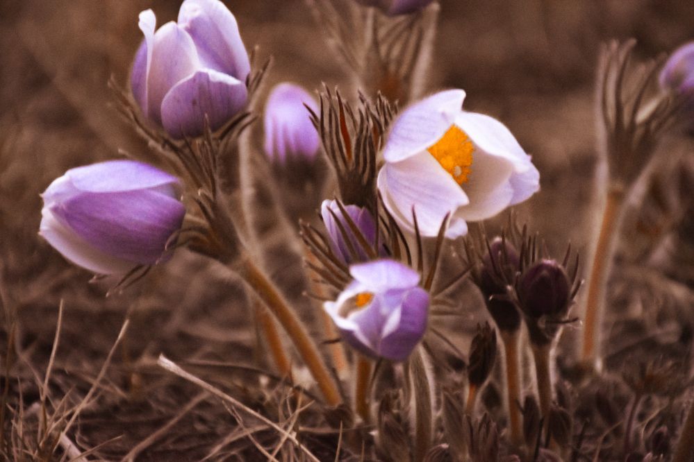 Photograph by Вера Пац