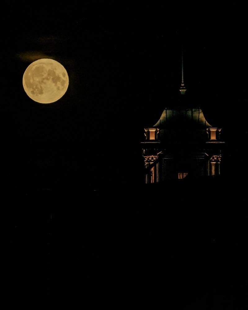 Фотография автора Ольга Лихтарь