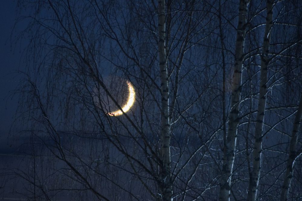 Photograph by Евгения Россоловская