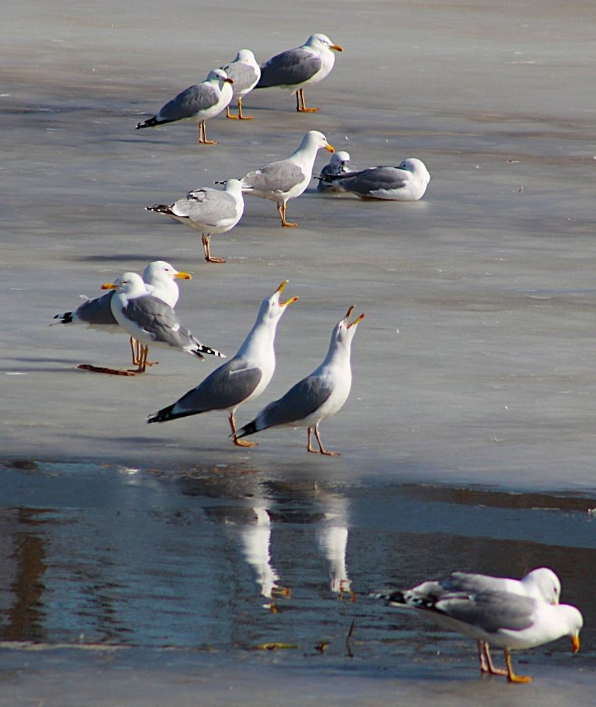 Photograph by Владимир Малёшин