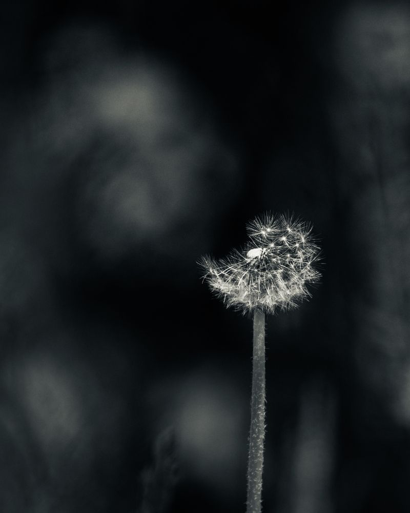 Фотография автора Андрей Иванов