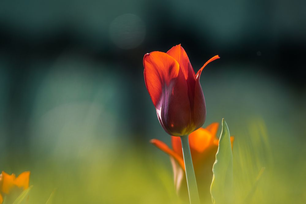 Фотография автора Андрей Иванов