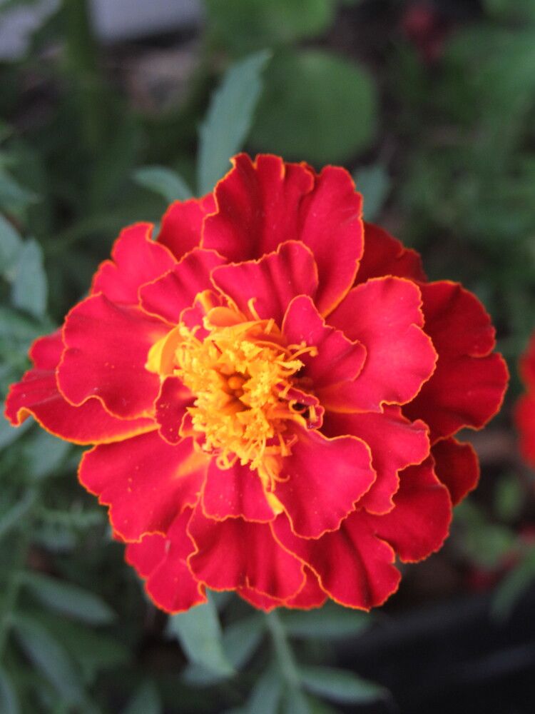 Photograph by Евгений Щипин