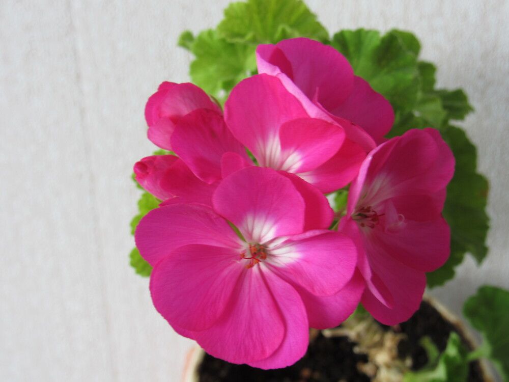 Photograph by Евгений Щипин