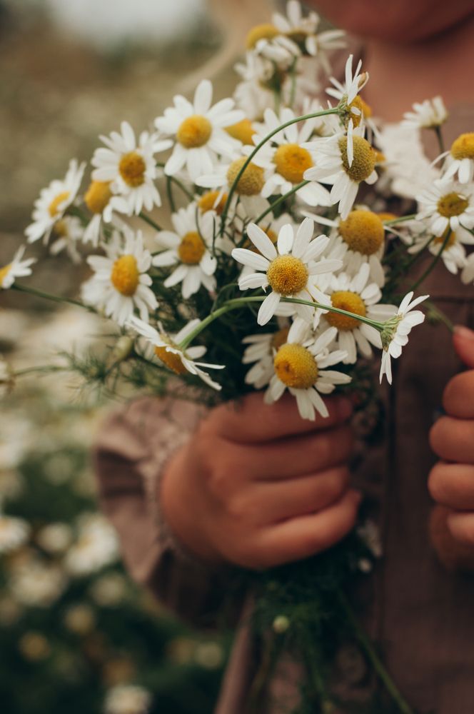 Photograph by Марина Коваленко