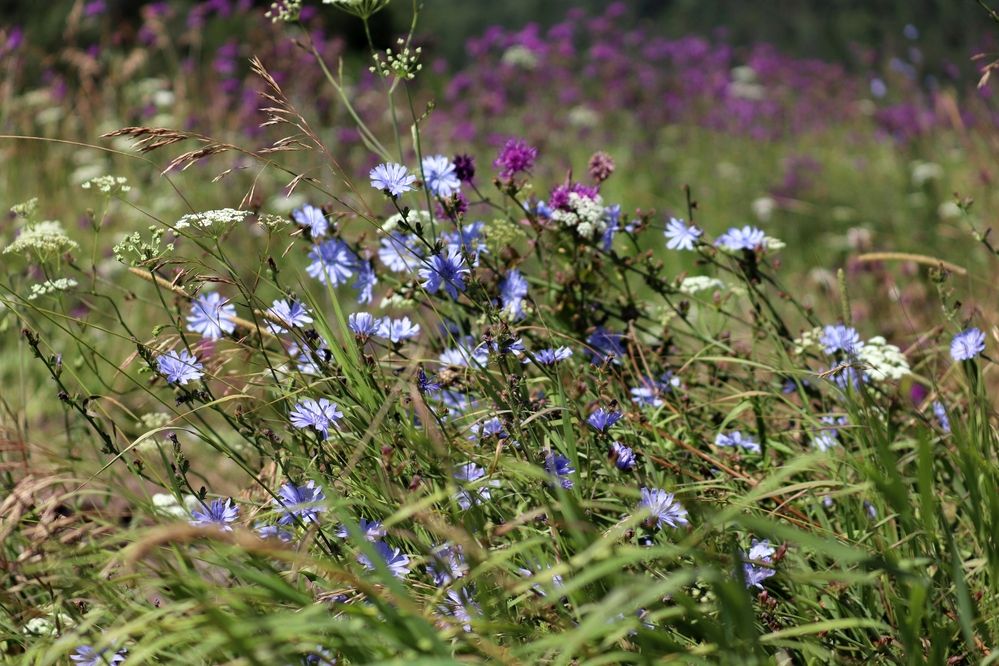 Photograph by Владимир Перминов