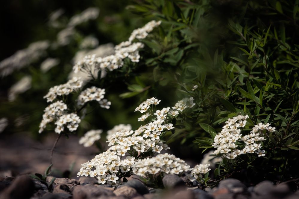 Фотография автора Андрей Иванов