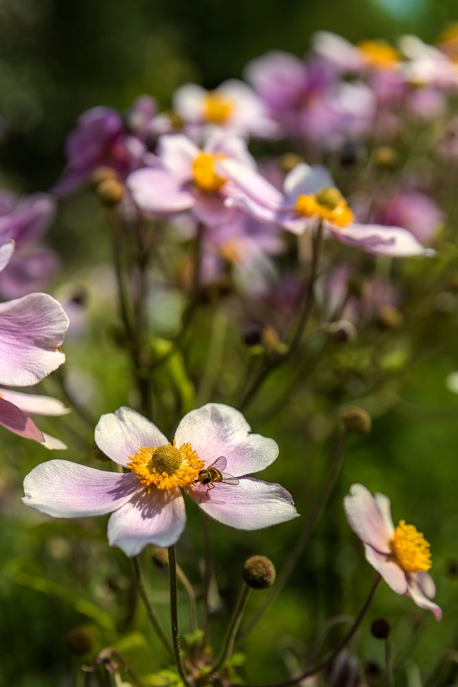 Photograph by Михаил Мак