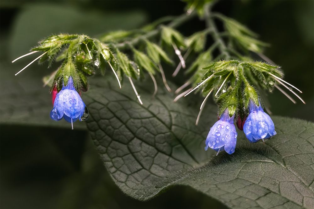 Photograph by Михаил Мак