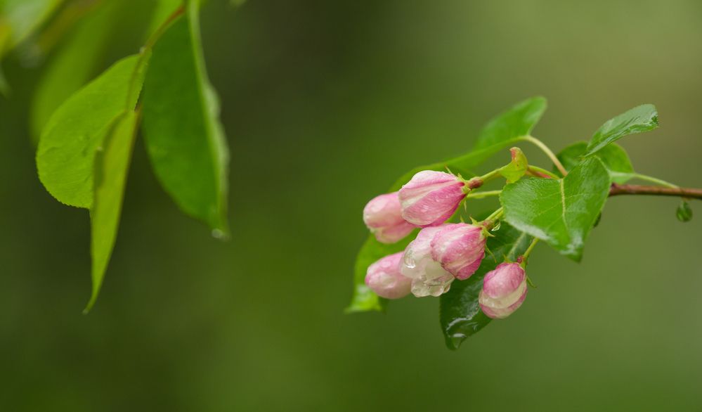 Photograph by Константин Искучеков