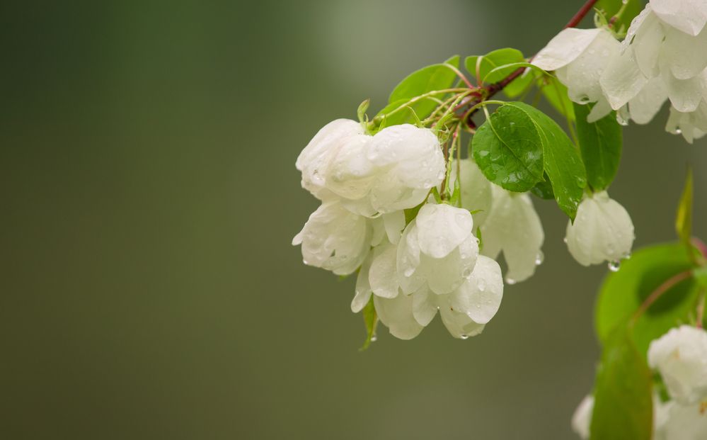 Photograph by Константин Искучеков