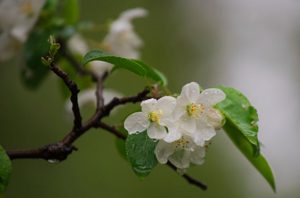 Photograph by Константин Искучеков