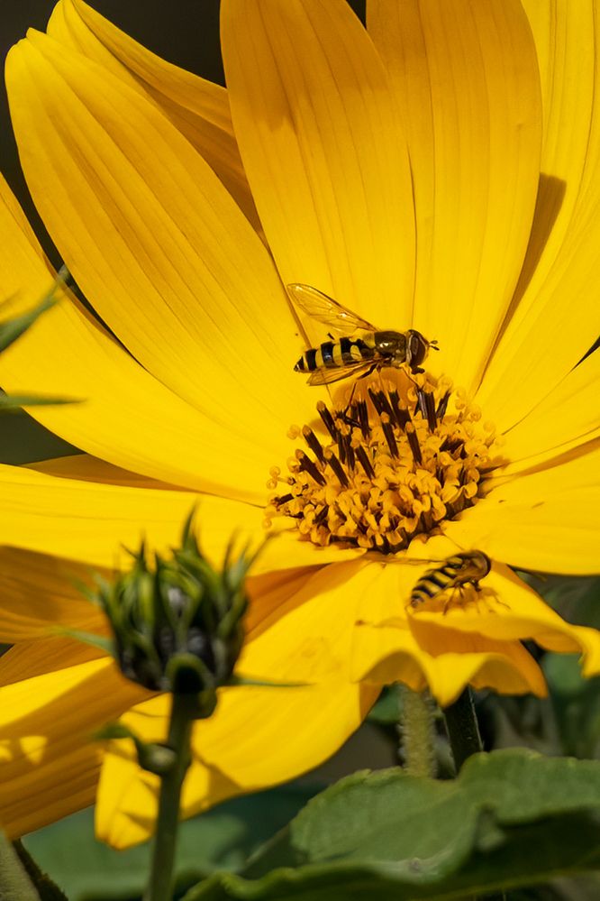 Photograph by Михаил Мак