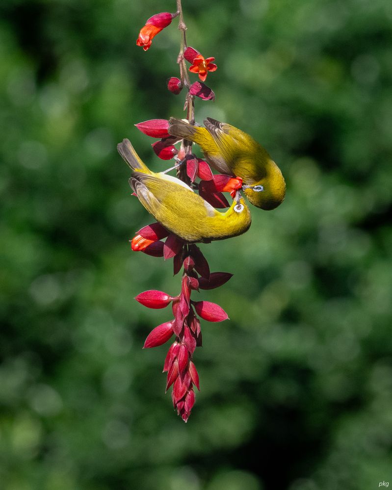 Photograph by Prabhat Ghosh