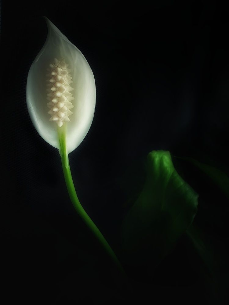 Photograph by Нина Москалёва