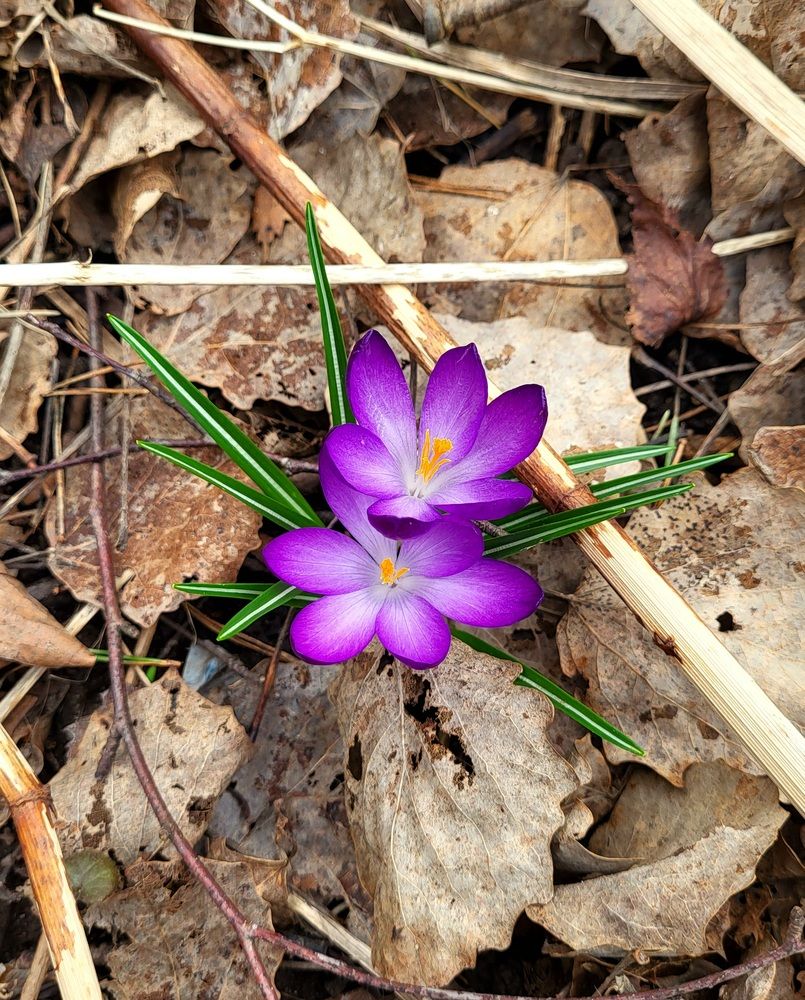 Photograph by Dmitrij Zykunov